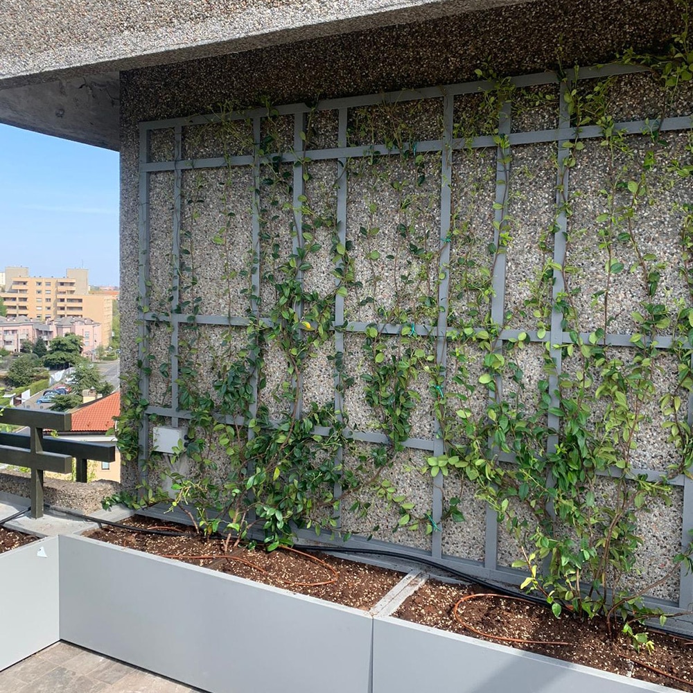Realizzare-parete-verde-sul-terrazzo-casa-Bologna