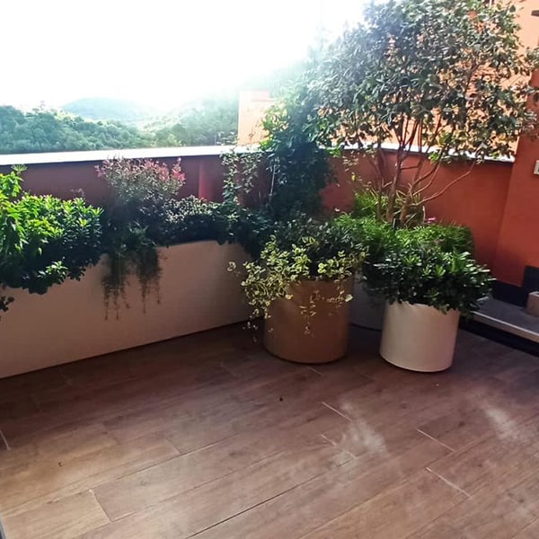 realizzazione-fioriere-per-professionisti-del-giardinaggio-sostenibili-Bologna