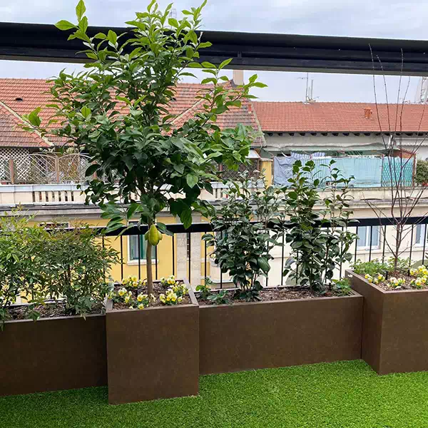 fioriere-per-piante-da-frutto