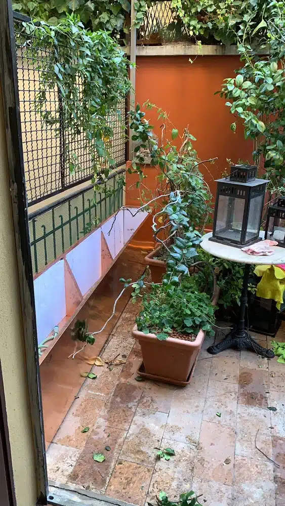 vasi-in-rame-per-piante-in-interno-milano