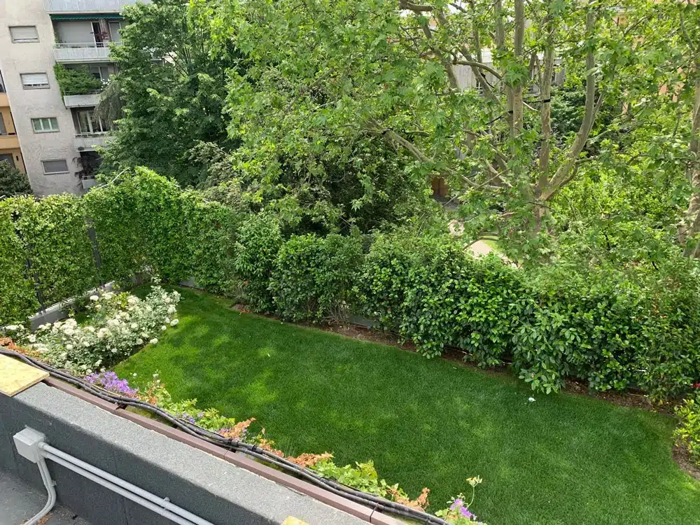 verde-pensile-per-spazi-pubblici